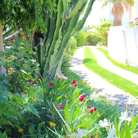 Flores Villa